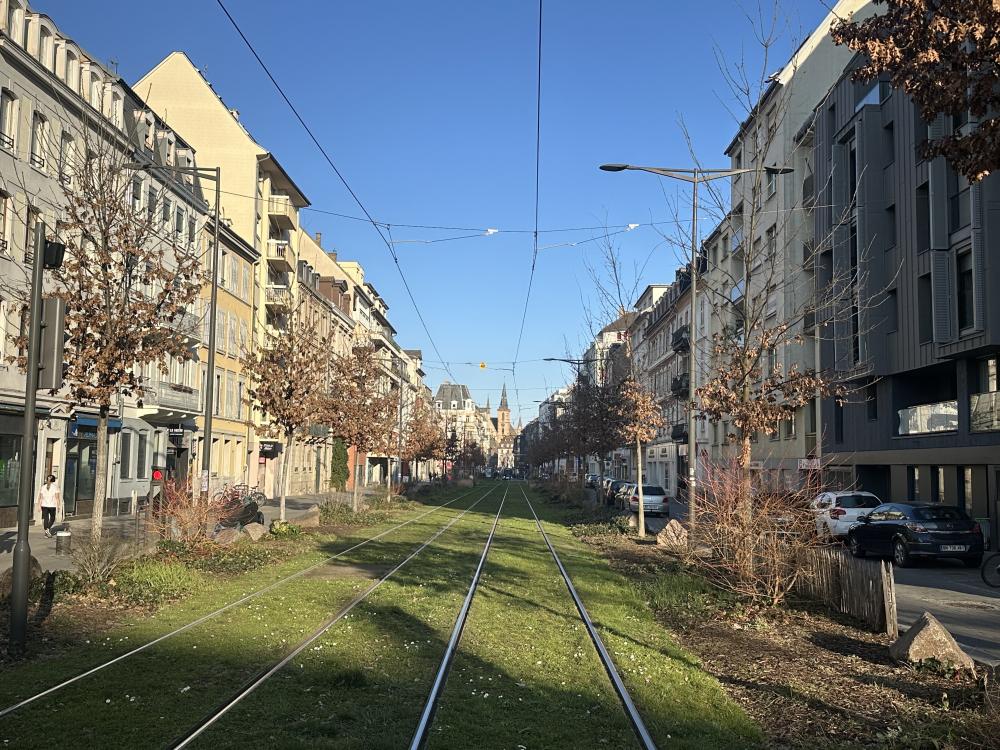 environnement direct tramway