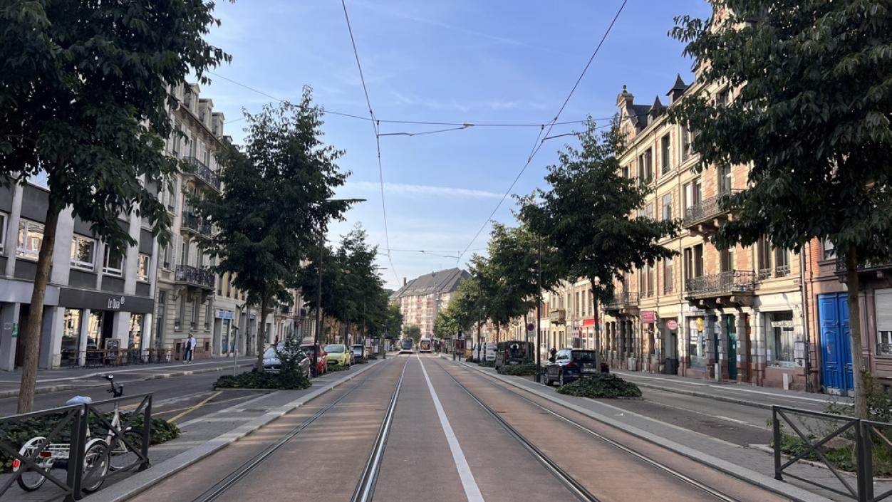 boulevard